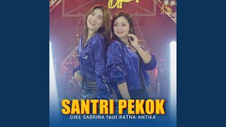 Santri Pekok (Cover)