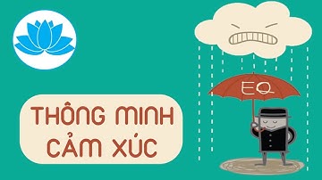 EQ trí thông minh cảm xúc và cách rèn luyện | HatBuiNho
