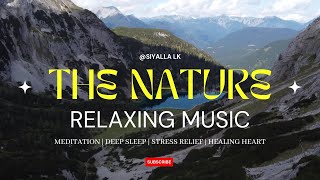 Relaxing Mind Sleeping Natural Music |Meditation Deep Sleep Music | Stress Relief | ❤☺️ screenshot 2