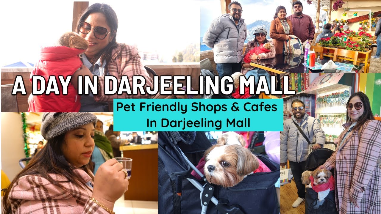 We Stayed Inside A Tea Garden A Day In Darjeeling Mall With My we-stayed-inside-a-tea-garden-a-day-in-darjeeling-mall-with-my