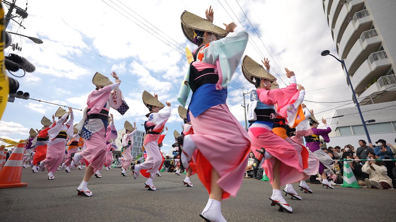阿波おどり振興協会選抜連 📍徳島おどりフェスタ (おどりコース1) 2024