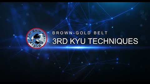 3rd Kyu Aikido Techniques