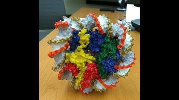 BPPB Virtual Seminar, Taekjip Ha, “Deciphering mechanical code of the genome and epigenome”