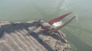 Pteranodon: The Winged King of the Cretaceous Skies! 🦖☁️