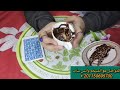 برج العذراء خبر من جهه حكوميه توقيع ورقه عاطله وشغاله البال وصول كلام ليك اوعي تصدق الشريك بيحبك