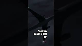 af/air France flight 447