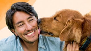 Why Does My Dog Lick Me? Understanding Your Pup's Language