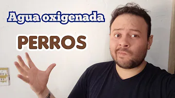 ¿Puedo mojar las patas de mi perro en agua oxigenada?