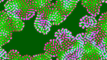 Multiple Neighborhoods Cellular Automata