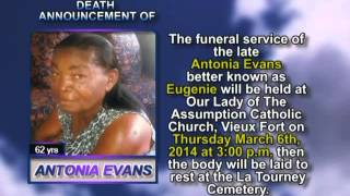 Details Antonia Evans short Update