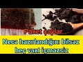 Paket çaylar xərçəngə səbəb olur