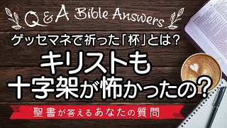 【Q&A】ゲッセマネで祈った「杯」とは？キリストも十字架が怖かったの？〈聖書が答えるあなたの質問〉