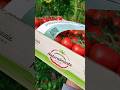 Pomodoro Ciliegino New package NO Plastic 👍🍅