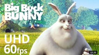 Big Buck Bunny 60fps 4K  Official Blender Foundation Short Film