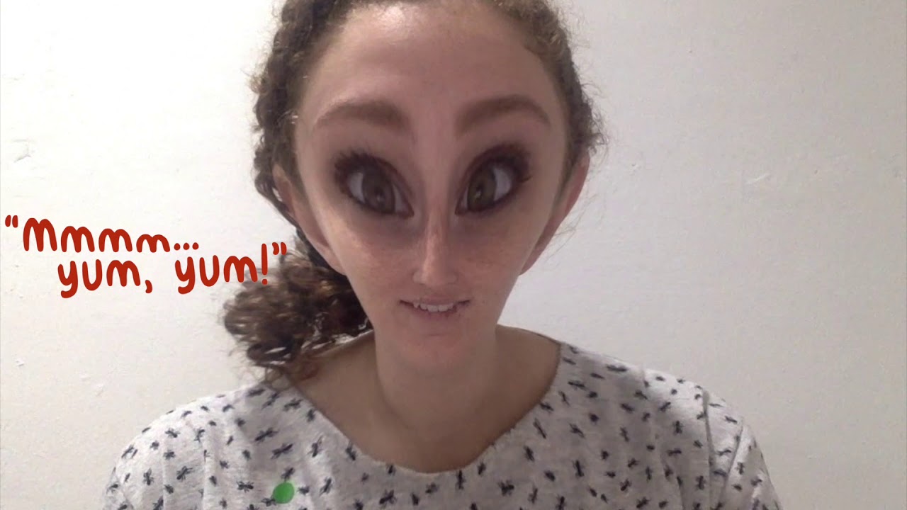 Writing Dog vs. Tortoise