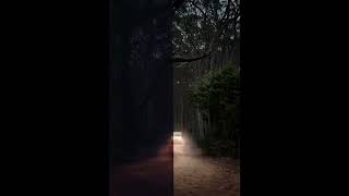 5 Second Mein Lightroom Photo Editing Tutorial  Copy Paste Settingshorts