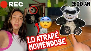 MI PELUCHE TIENE UN DEMONIO ADENTRO!! 😰se mueve solo y sin baterias😓|Jaque Argaes