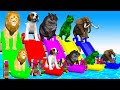 5 Giant Duck Cartoon,Lion,Dog,Hippo, Elephent,T rex Transfiguration funny animal 2024