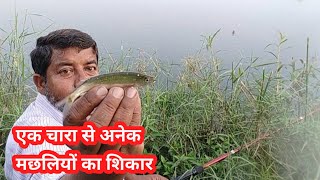 चलहव और पठय मछल क चर और शकर क वडय चर और चरई और शकर क वडय Sundar Bihar