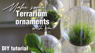 Hanging Moss Ball Ornaments | DIY tutorial by Forest Floor Terrariums 669 views 1 year ago 8 minutes, 40 seconds