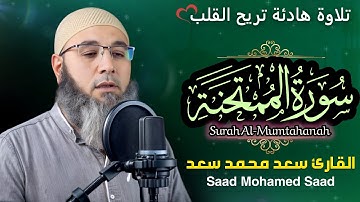 سورة الممتحنة (Surah Al-Mumtahanah ) .. استمع و انشر