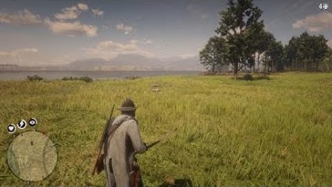 Red Dead Redemption 2 Improved Arrows