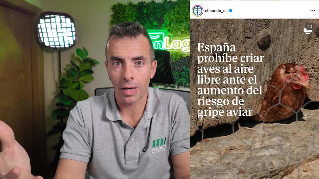 Gripe aviar 2025 en España: ¿prohíben tener gallinas?