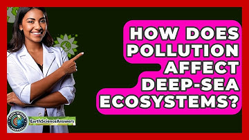 How Does Pollution Affect Deep-sea Ecosystems? - Earth Science Answers