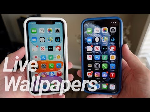 Iphone 11 11 Pro New Live Wallpapers Youtube