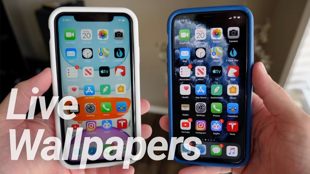 Iphone 11 11 Pro New Live Wallpapers Youtube