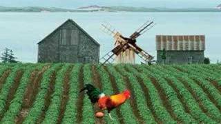 Download Lagu The Roosta MP3 Download Lagu The Roosta MP3
