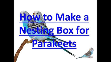 HOW TO MAKE A NESTING BOX FOR PARAKEETS