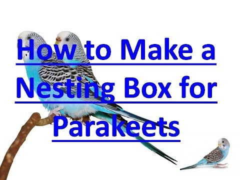 HOW TO MAKE A NESTING BOX FOR PARAKEETS