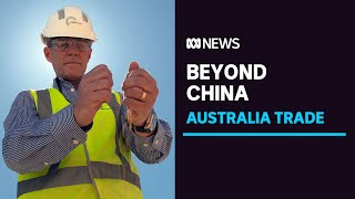 Farmers finding new markets around the world despite China trade blockade | ABC News