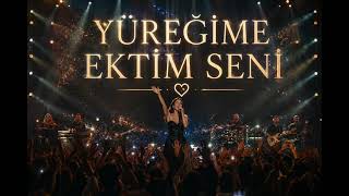 Yüreğime Ektim Seni Konser Armosferi