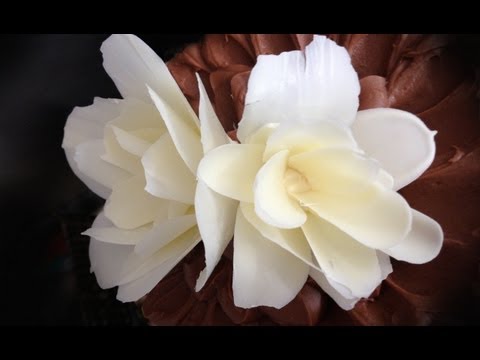 how to make a CHOCOLATE FLOWER rose by Ann Reardon How To Cook That Chocolate