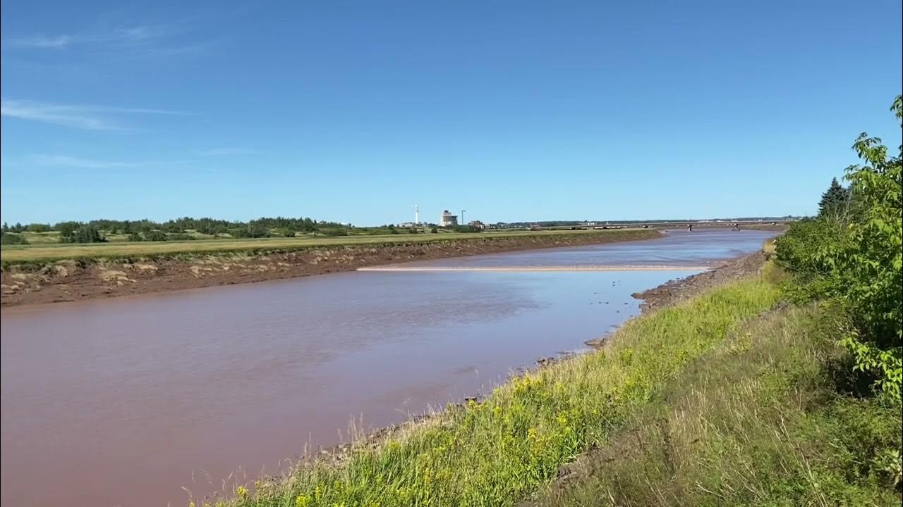 Tidal Bore Petitcodiac River, Riverview, NB YouTube