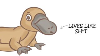 Why it Sucks To Be Born As an Platypus