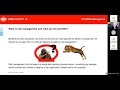 ISO/TC 262 Recording Webinar ISO 31000