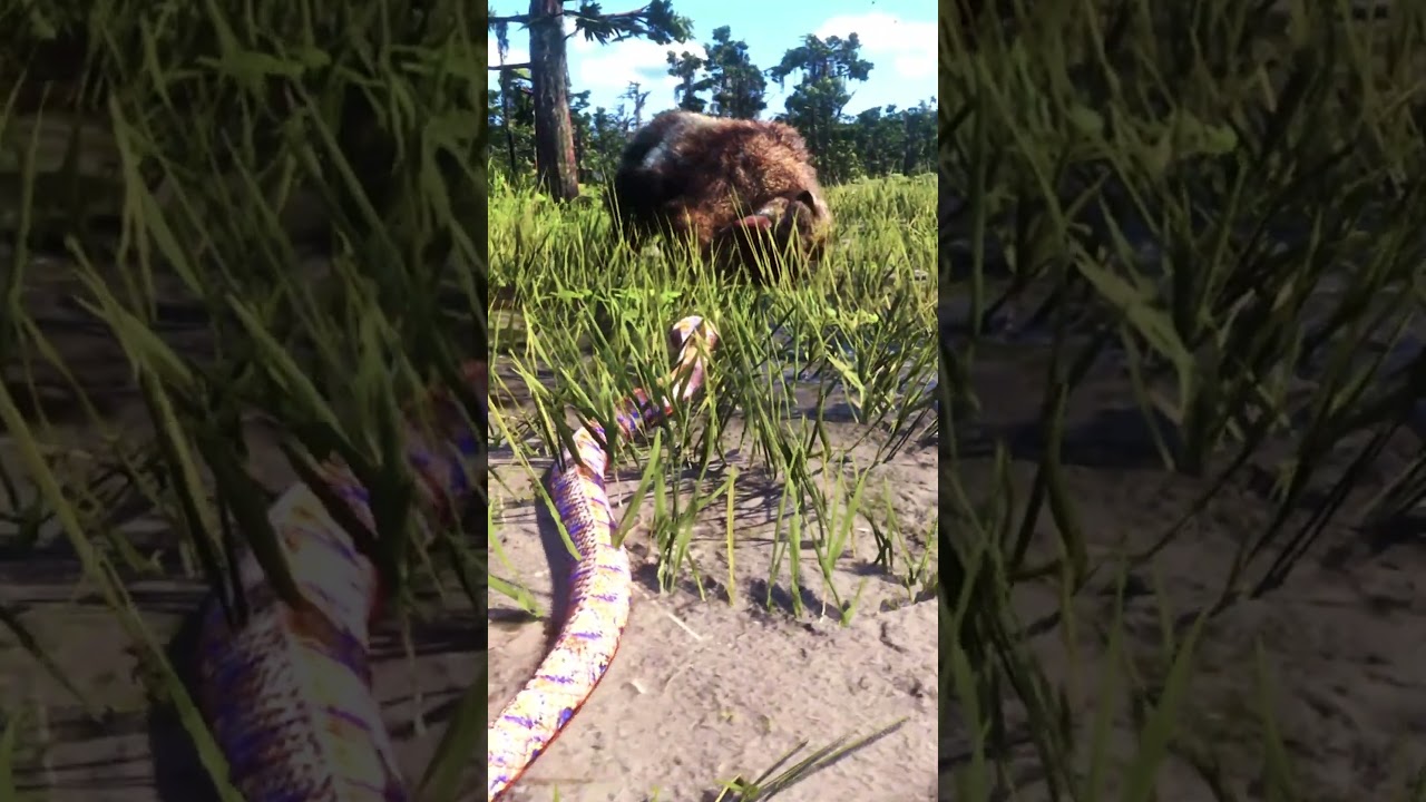 Snake vs. Bear in Red Dead Redemption 2 | Epic Wildlife Battle 