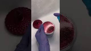 Proxy Marble Dishes Stone 🤗 Resimi