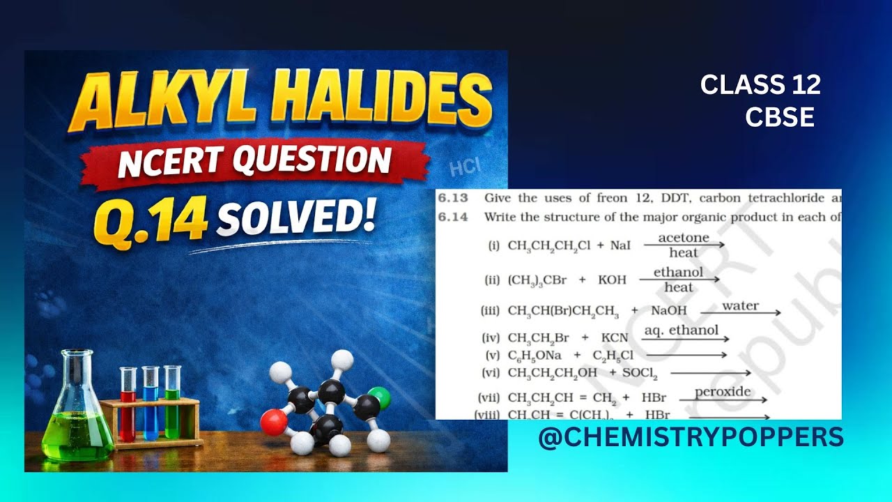 NCERT Alkyl Halides Question 14 Explained | Class 12 Chemistry | Board Exam Ready