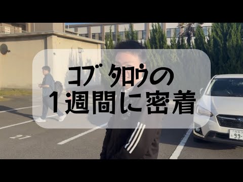 こぶたろう こぶたろうの1週間に密着してみた - YouTube