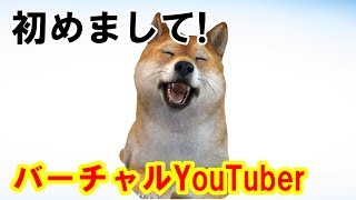 「【自己紹介】初めまして!バーチャルYouTuber始めました､きゅあです!」のサムネイル