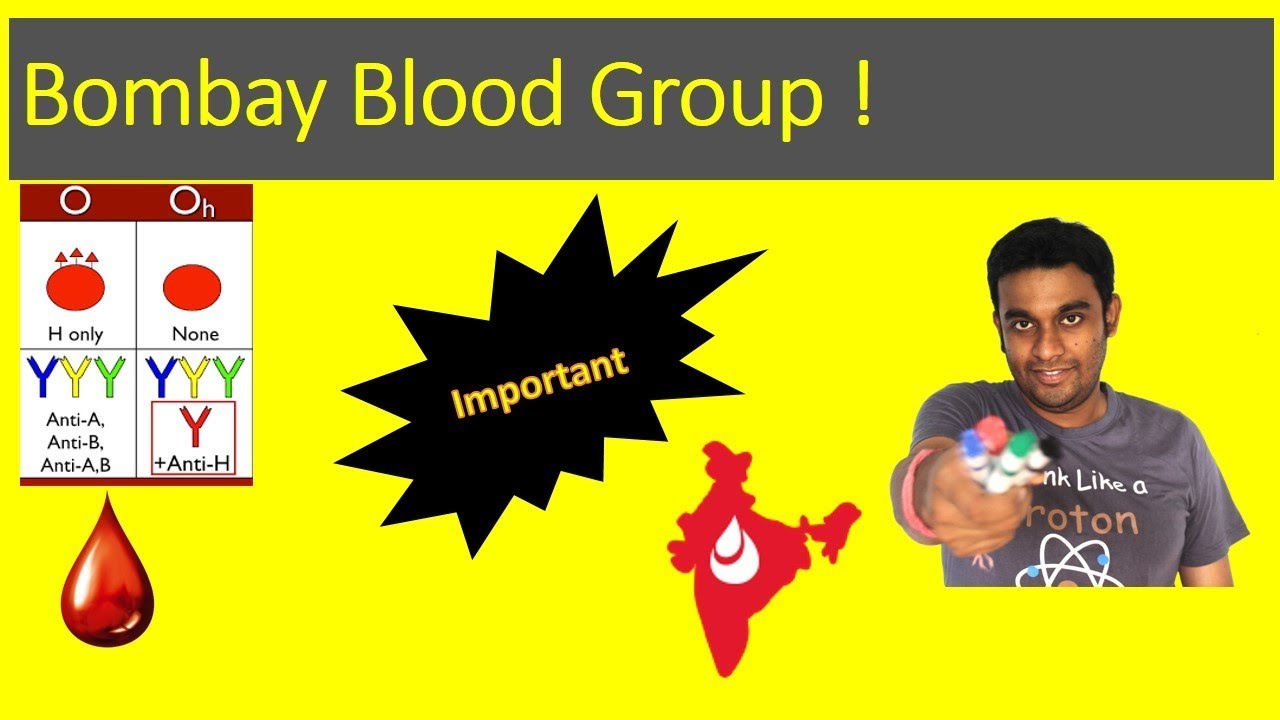 Bombay Blood Group (Simplified Version) YouTube