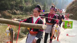 Guizhou's Miao aunt returned to her parents' home. The scene was very lively. It was spectacular to