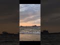 الاسد راشد الماجد