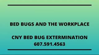 Bed Bugs and the workplace.