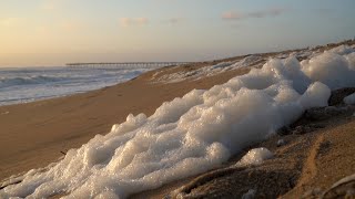 wild horses obx tours