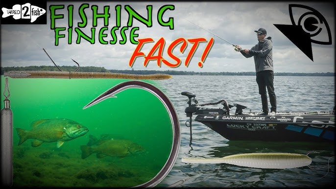 Bass Mafia Money Bag Review - Wired2Fish